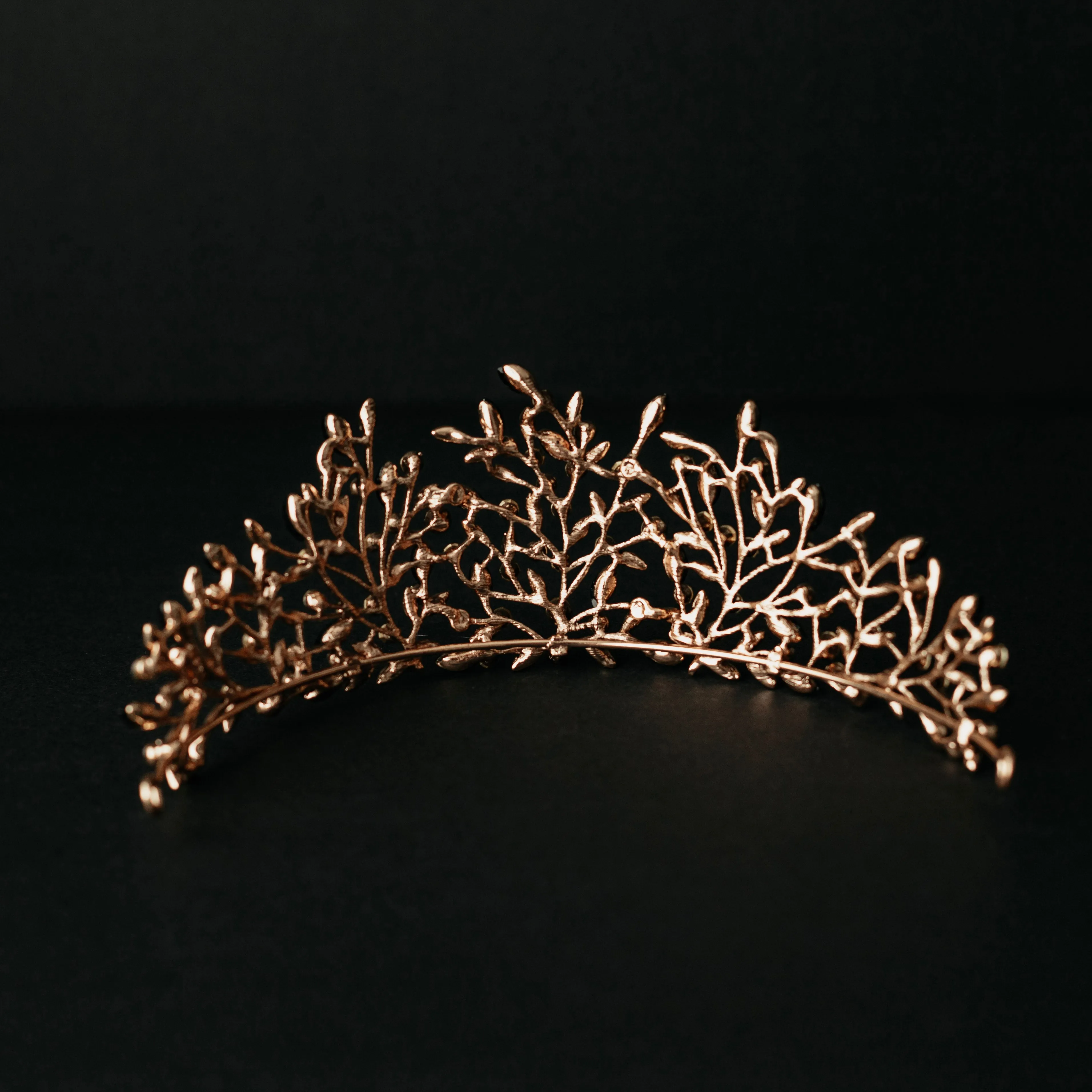 Ingrid's Tiara in Black