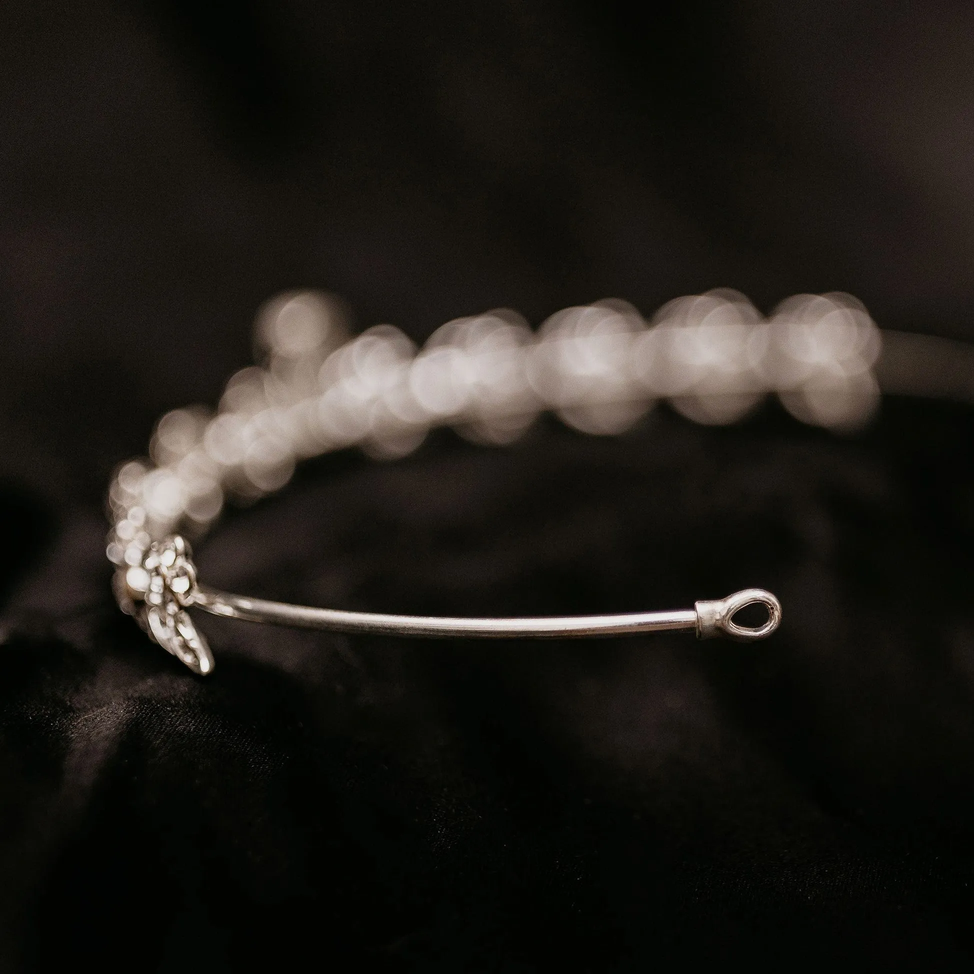 Laila's Tiara