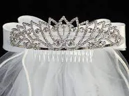 T412 24" Veil with Rhinestone Tiara